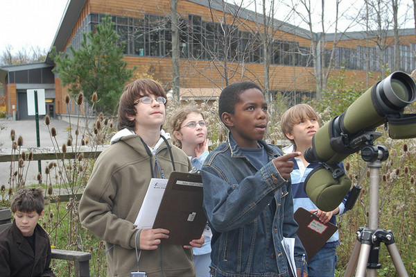 Designing Bird Study Experiments - Free Webinar - SciStarter