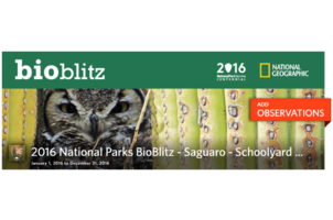 2016 National Parks BioBlitz - Saguaro Schoolyard BioBlitz - SciStarter