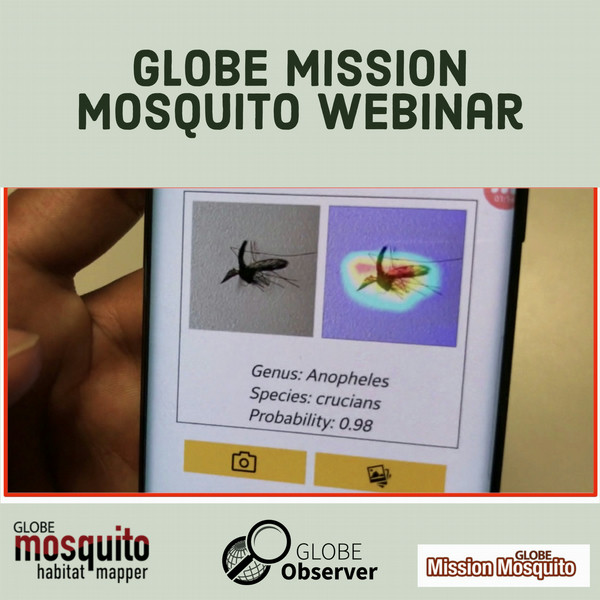 New digital tools for fighting mosquito-borne diseases - SciStarter