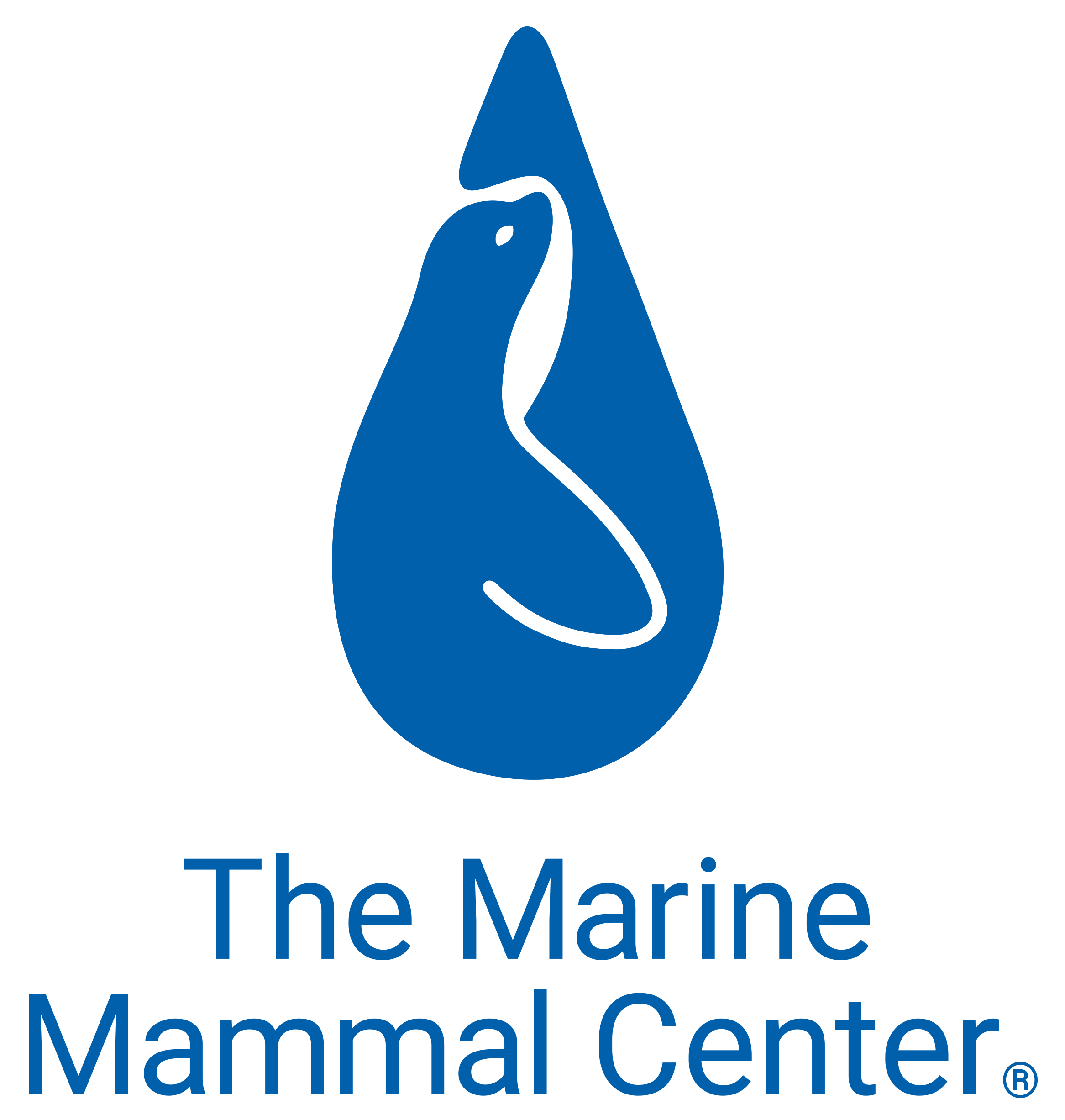 Volunteer at The Marine Mammal Center - Science Near Me