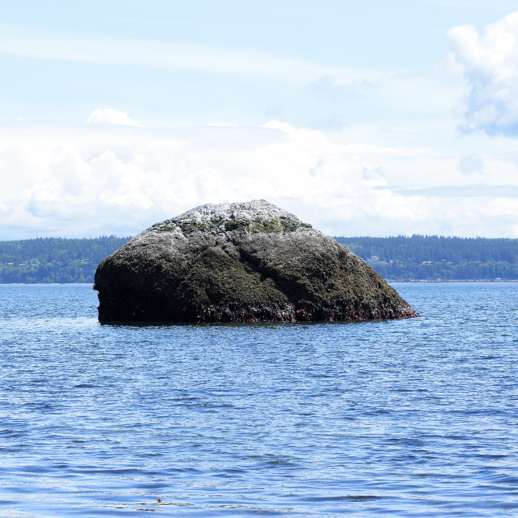 Jefferson County Washington Glacial Erratics Scistarter