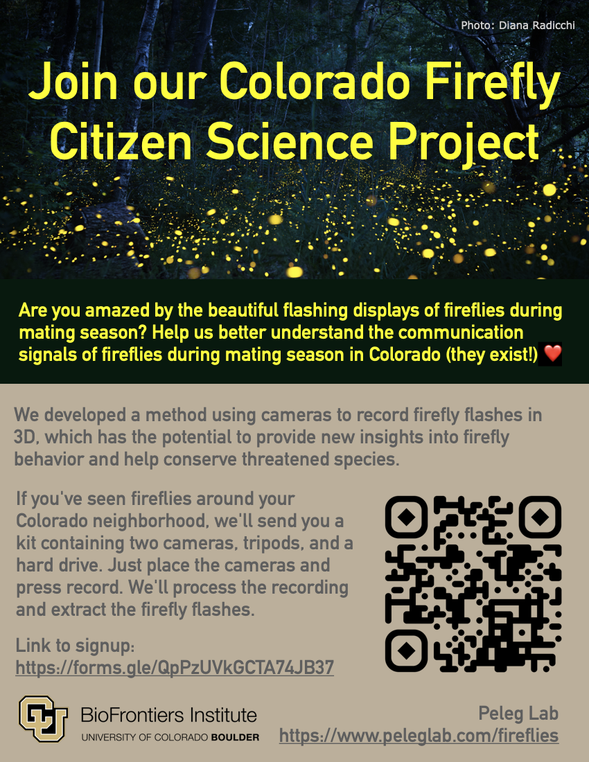 Constructing a Colorado Firefly Flash Pattern Dataset - SciStarter