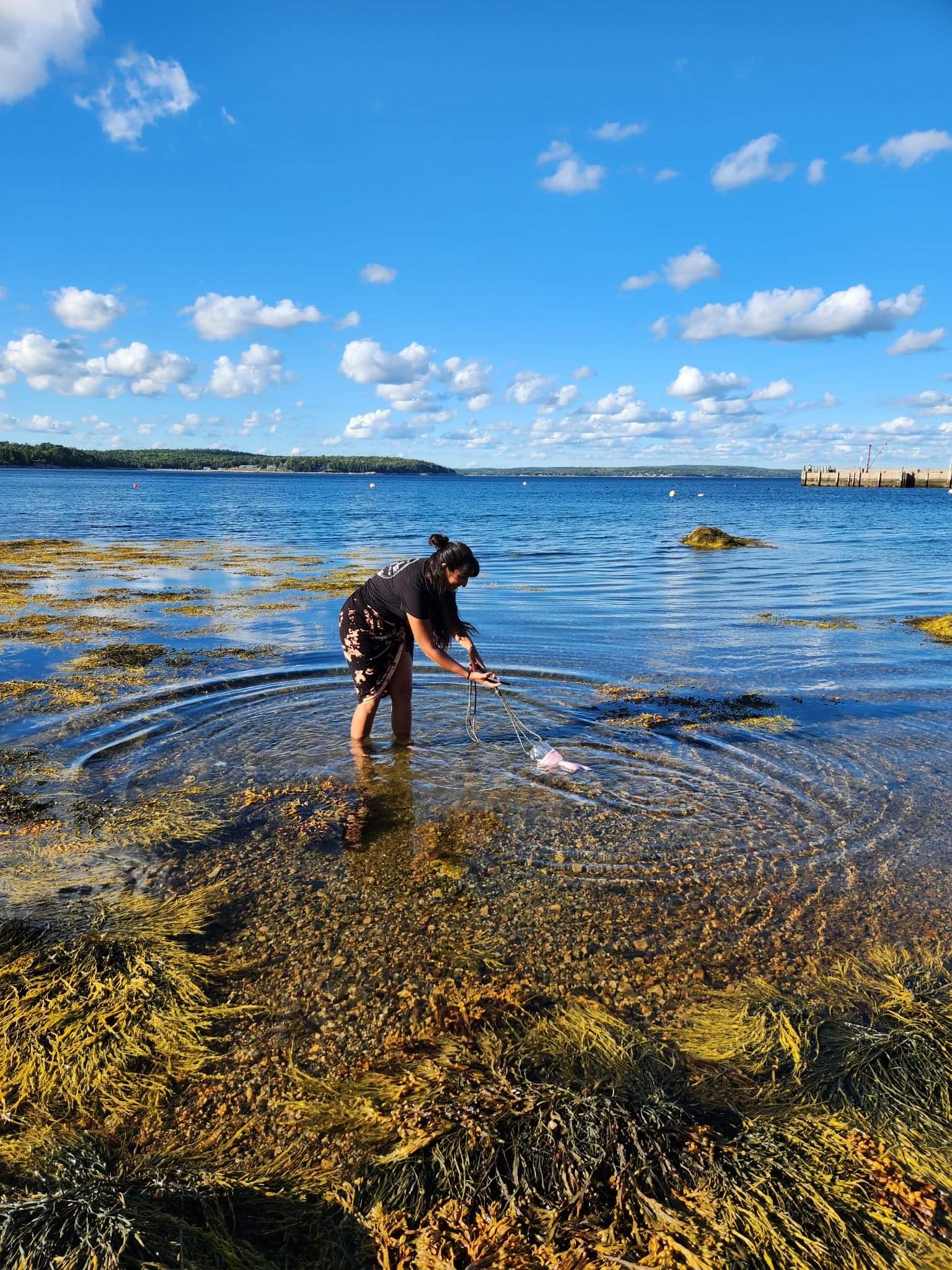 UNLEASH THE POWER OF COMMUNITY SCIENCE IN YOUR CLASSROOM! - SciStarter