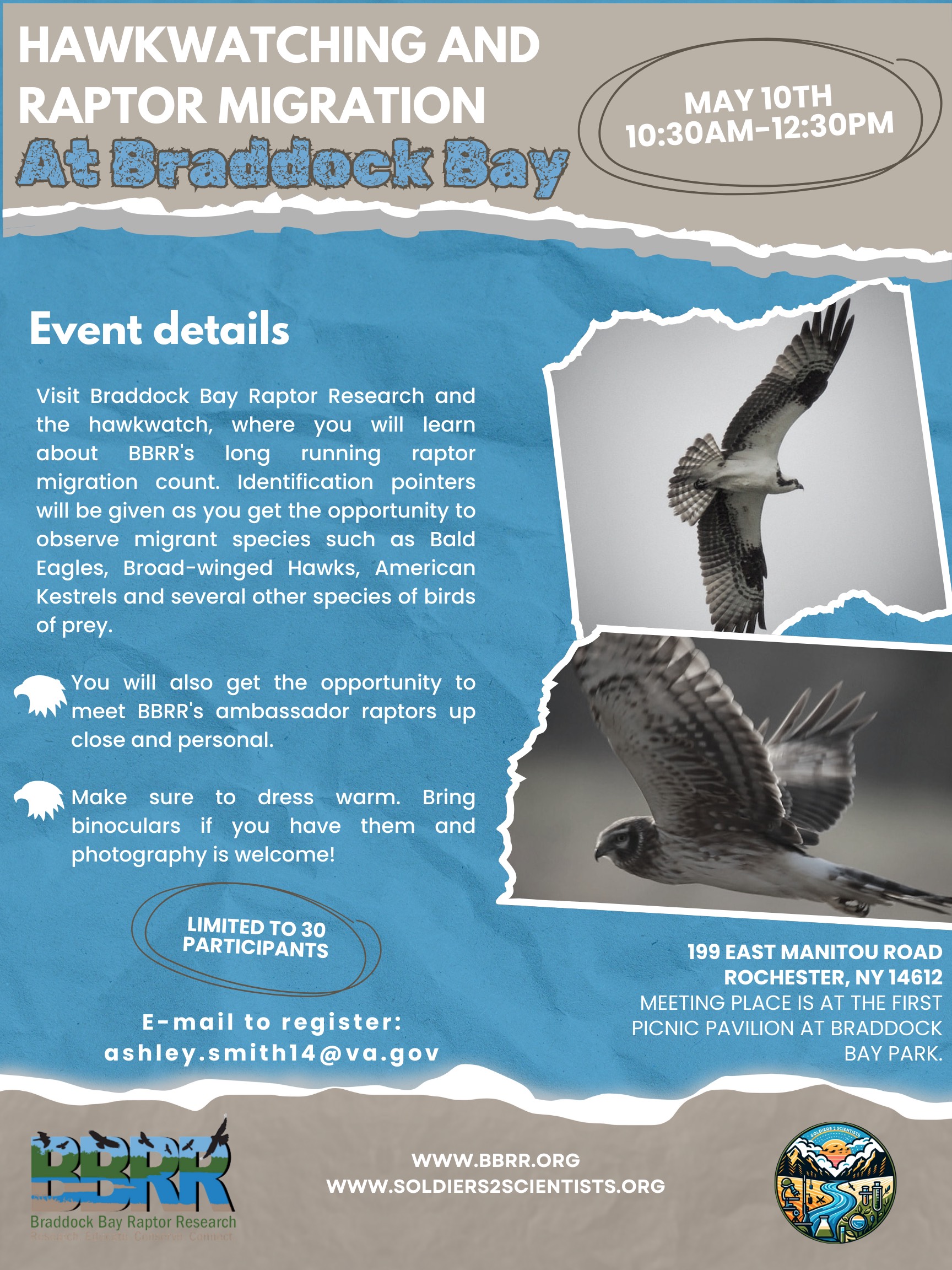 Hawk Watching at Braddock Bay Raptor Research - SciStarter