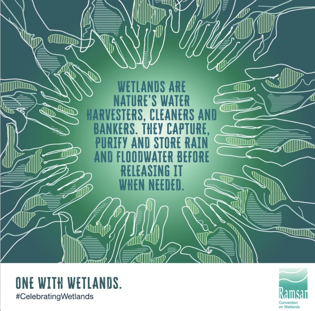 CIEDM Participation in World Wetlands Day 2026 @ Arcadia Ecohome ...