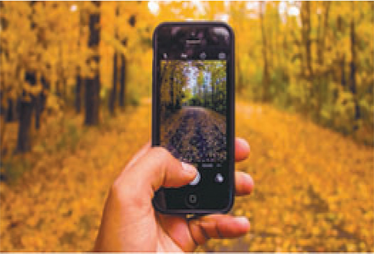 RippleEffects SciStarter