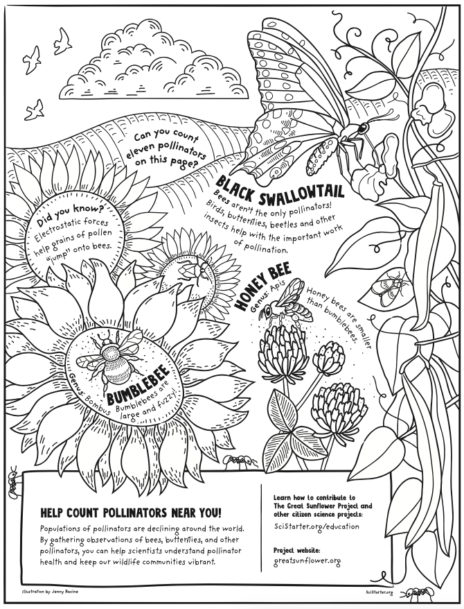 Monthly Garden Journal Printable PDF Perfect for Pollinator